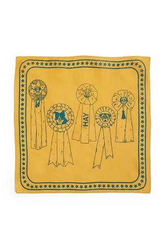 Šatka pre psa HAY 55 x 55 cm