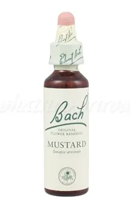 Mustard - Horčica poľná 20 ml - bachove kvapky