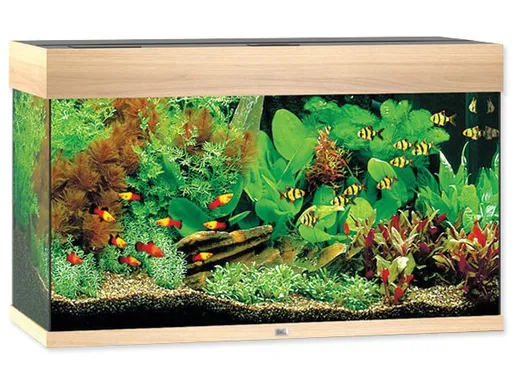 Juwel Rio 125 LED akvarijný set dub 81 x 36 x 50 cm 125 l