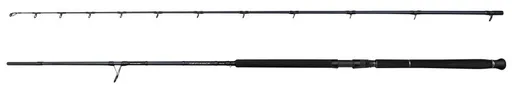 Savage gear prút defiance sg2 shore jigging 2,9 m 20-80 g 2-diel