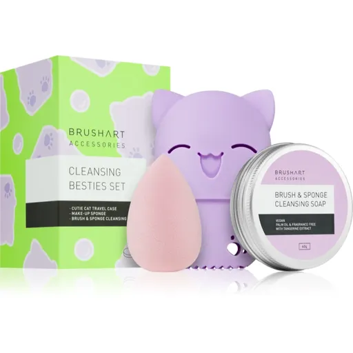 BrushArt Accessories Cleansing besties set cestovná sada