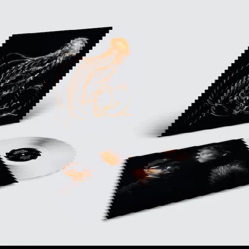 ROYAL BLOOD - BACK TO THE WATER BELOW - INDIE LP