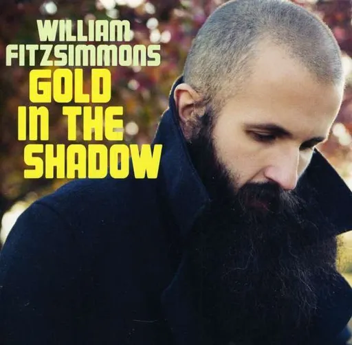 William Fitzsimmons, Gold in the Shadow William Fitzsimmons CD, CD
