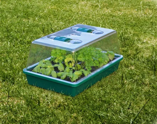 Haushalt international Minipařeniště