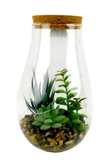 MAKRO - Sukulent v skle s LED na 3LR batérie, 8,5x23x14cm
