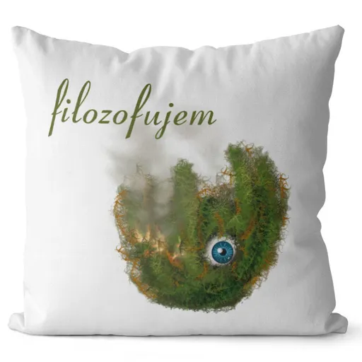 Vankúš Filozofujem (Veľkosť: 55 x 55 cm)