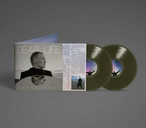 Gray David - Dear Life / Green / Vinyl / 2 LP
