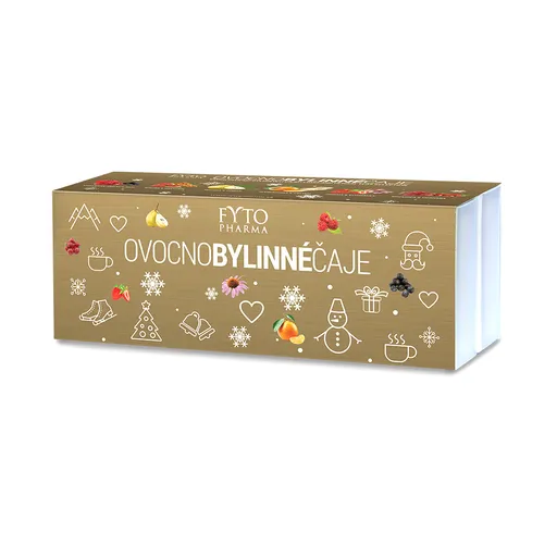 FYTO Ovocno-Bylinný MIX Zimná edícia 6 druhov po 10 vreciek 60x2g(120g)