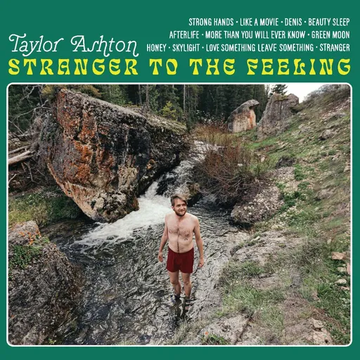 Stranger to the feeling - Taylor Ashton LP