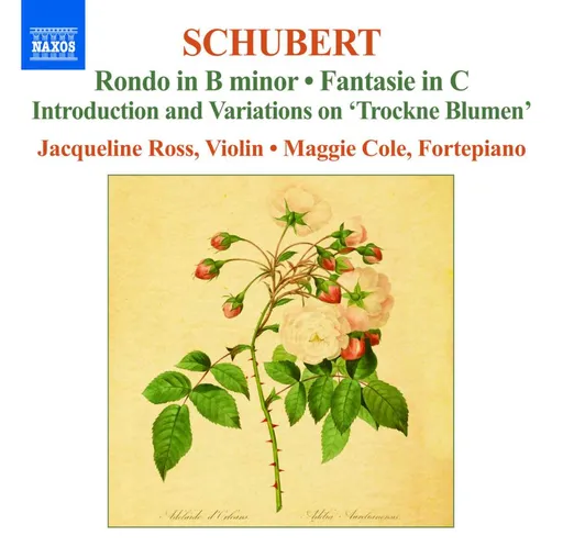 Franz Schubert, WORKS FOR VIOLIN VOL.2, CD