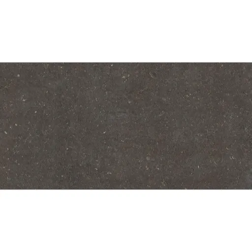 Dlažba Geotiles Vincen anthracite 60x120 cm mat VINCEN612AN