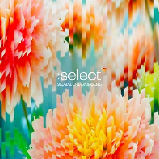 Various Artists, GLOBAL UNDERGROUND: SELECT #5, CD