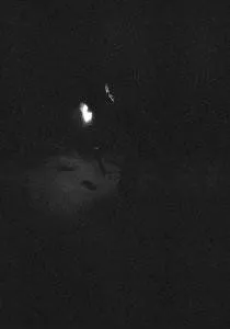 Paysage d'Hiver, NACHT, CD