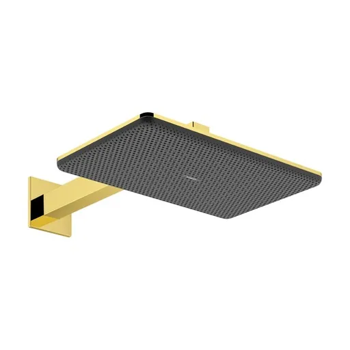 Hansgrohe Raindance Alive Q hlavová sprcha na stenu vrátane sprchového ramená leštený vzhľad zlata 24550990