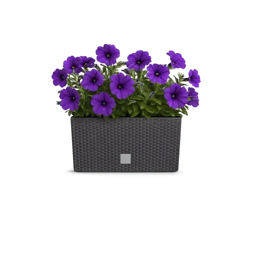 ProsperPlast Kvetináč RATO CASE s vkladom | umbra 39,5 cm