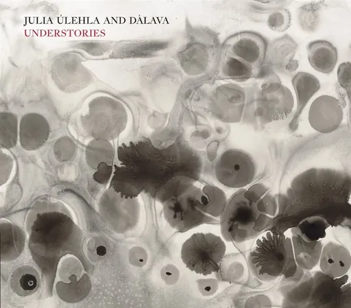Julia Úlehla & Dálava, UNDERSTORIES, CD