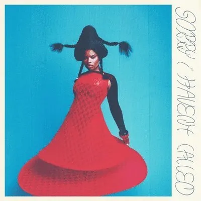 VAGABON - SORRY I HAVEN\'T CALLED LP