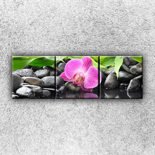 Foto na plátne Ružová orchidea 1 120x40 cm