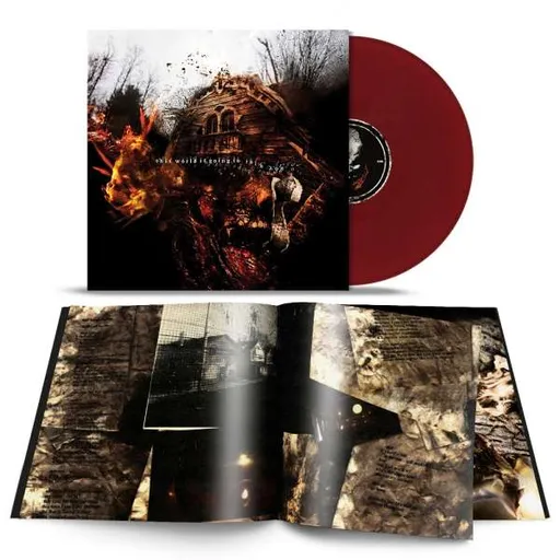 This World Is Going to Ruin You - Vein.Fm LP