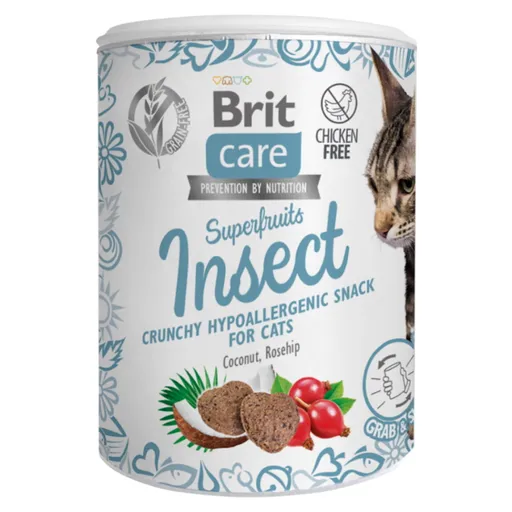 BRIT Care Superfruits Insect maškrta s hmyzom kokosom a šípkom pre mačky 100 g