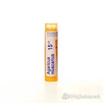 AGARICUS MUSCARIUS, GRA HOM CH15, na nervové a svalové indikácie, 4 g