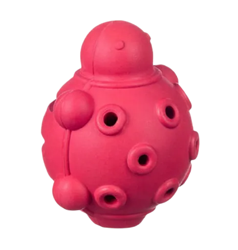 Barry King korytnačka S 7,5 cm