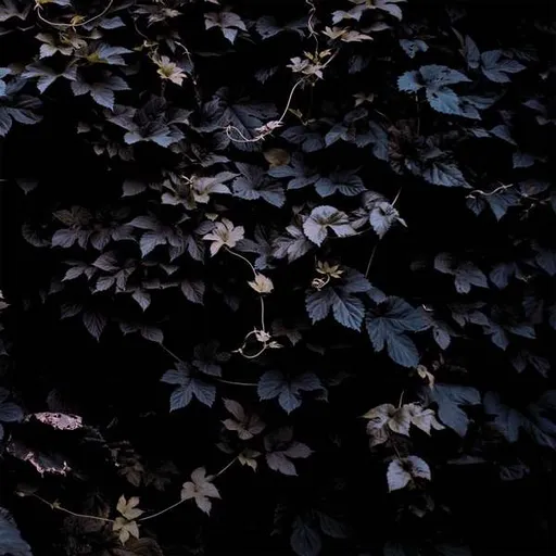 Vivid Flu - Michael Vallera LP