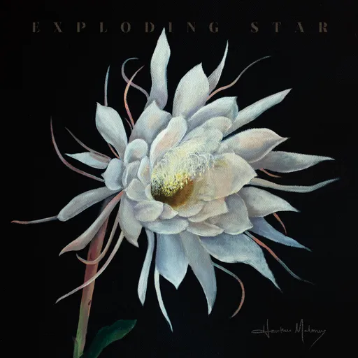 Heather Maloney, Exploding Star, CD