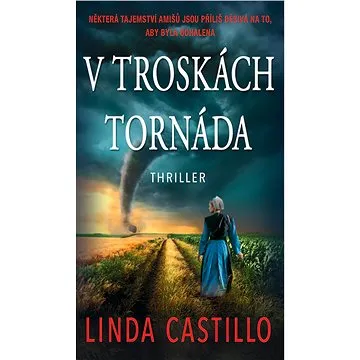V troskách tornáda (978-80-243-9055-0)
