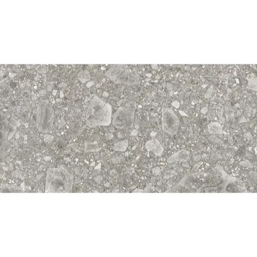 Dlažba Emil Lombarda grigio 30x60 cm mat E06A