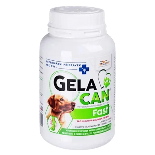 GELACAN Fast 150 g a.u.v.