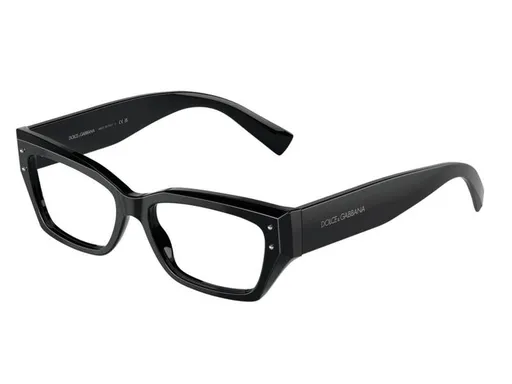 Dolce & Gabbana DG3387 501