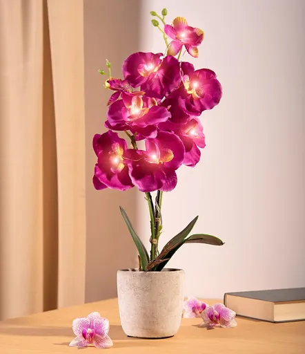 Die moderne Hausfrau LED Umělá orchidej