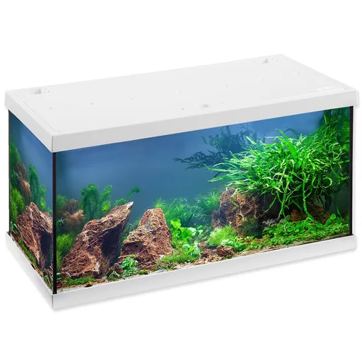 Eheim Aquastar LED akvarijný set biely 54 l