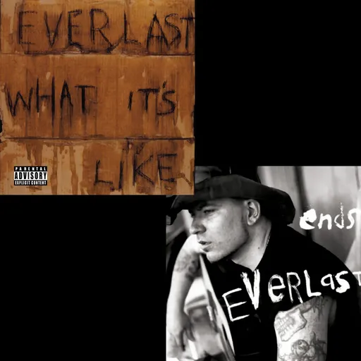 What It's Like/Ends Everlast Vinyl