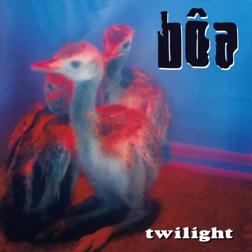 BOA, Boa - Twilight / Digisleeve CD, CD