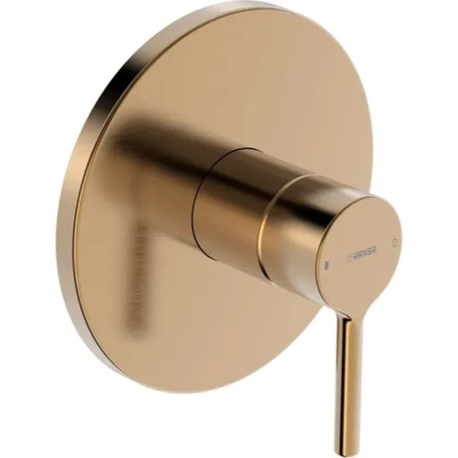 Hansa Vantis sprchová batéria bez podomietkového telesa brúsený bronz 8261906781
