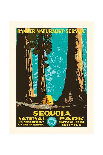 Nástenná dekorácia PLAKAT Sequoia 30 x 40 cm