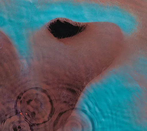 Pink Floyd, Meddle, CD