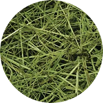 Lúčne seno RabbitWeed 1kg