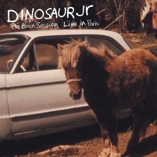 Dinosaur Jr., BLACK SESSION (LIVE IN PARIS 1993), CD