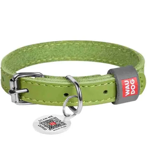WAUDOG Classic Kožený obojok pre psov zelený 1 kus, Veľkosť: XXS