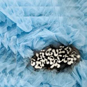 Penny & The Quarters, PENNY & THE PITS - LIQUID COMPACTOR 1 CD, CD