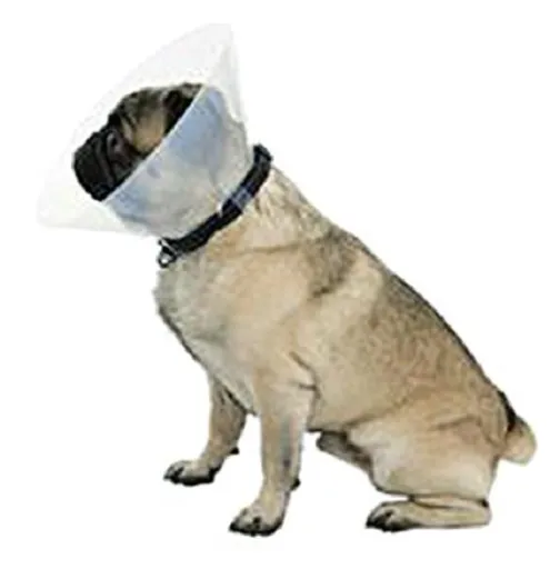 Buster Límec ochranný plastový E-Collar Brachy S