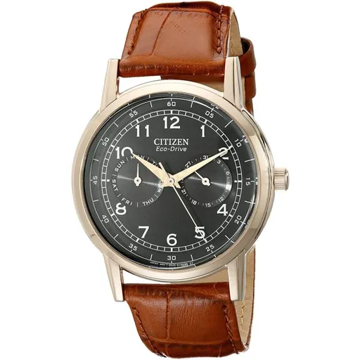 Citizen Eco-Drive AO9003-08E - 30 dní na vrátenie tovaru, Garancia originality