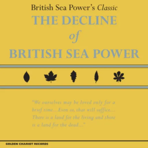 British Sea Power - Decline Of British Sea Power / Yellow / Vinyl LP
