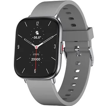 WowME Watch TS strieborné/sivé (TS17P silver+grey)