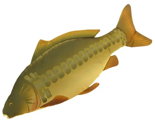 Ngt vankúš kapor 70 cm