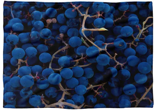 Deka Víno  (Rozmer: 200 x 140 cm, Podšitie baránkom: NE)