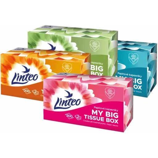 Linteo Paper Tissues Two-ply Paper, 200 pcs per box papierové vreckovky 200 ks